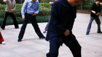 陈氏太极拳精要十八式5 单鞭 陈志强老师教学下载