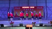 广场舞《鸟儿对花说》宋村西园舞队表演