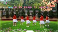 广场舞《花儿哪有阿妹俏》演示 老娘们舞队