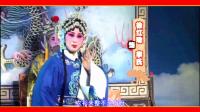 经典淮剧《金殿认子》主演 宋道林 徐红珠 盐城淮剧团演出下载