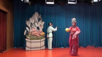 评剧《花为媒》花园相亲 主演 冯玉玲 侯秀