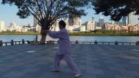 传统杨氏太极拳91式第一节（十五个动作）下载