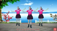 兰州莲花广场舞《人傻是福气》广场舞教学视