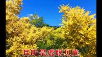 晋剧《双罗衫》唱段 忙放笔要登程