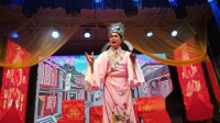 泗州戏《白玉楼》第四场 主演 罗军 周梅下载