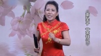 河南坠子《金钱记》第8集
