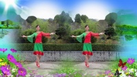 广场舞《盼阿哥》慢动作教学 美女老师现场