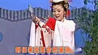 黄梅戏《谢瑶环》莫负月下山海盟  繁华学唱