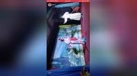 淮剧《三请樊梨花》上集