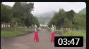 紫蝶踏歌广场舞 《我的心中有一艘船》 背面 教学视频教程高清下载下载