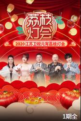 2020江苏卫视元宵荔枝灯会