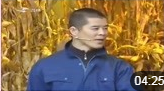 小品《玉米情》宋小宝打工回家苞米地撞外遇