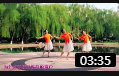 糖豆广场舞《月光下的凤尾竹》 傣族舞 教学