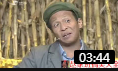 《苞米情缘》赵本山徒弟 宋小宝 田娃 搞笑