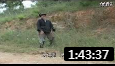 民间小调《睁着眼睛跳大坑》全场戏曲高清视