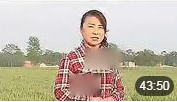 安徽民间小调《 憨子打针》 下集 戏曲视频m