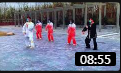 太极拳 陈汉忠教学八法五步教学视频教程高
