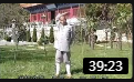 少林功夫达摩易筋经 教学视频教程高清免费