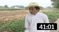 民间小调《刘罗锅捉奸》02 戏曲视频mp4免费