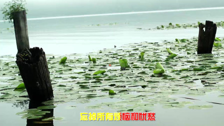 杜歌二龙湖浩哥《干了这杯酒》太有气势了听