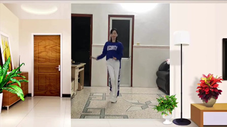 云裳广场舞《鸟儿对花说》教学视频基础步慢