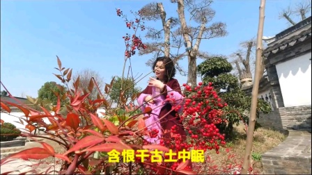 锡剧《双珠凤 私吊哭灵》演唱储息琴戏曲下