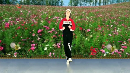 云裳广场舞《鸟儿对花说》高清教程视频大全