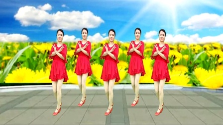 广场舞《梨花飞情人泪》背面旋律优美简单易