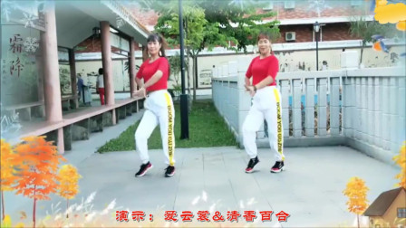 云裳广场舞《媳妇儿辛苦啦》教学视频基础步