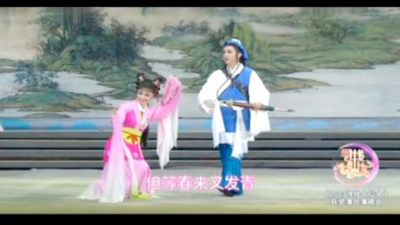 黄梅戏《天仙配路遇》名家袁媛 梅院军演唱经典戏曲下载免费mp3下载
