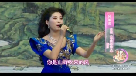 黄梅戏歌《山野的风》名家吴美莲演唱 戏曲
