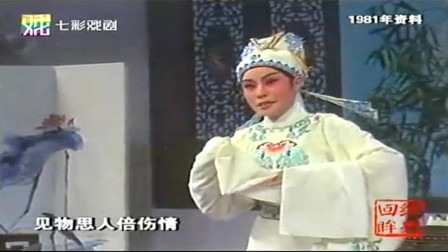 越剧《玉鹅恋》选段  徐派传人刘丽华 经典戏曲下载免费mp3下载
