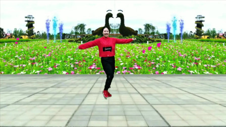 云裳广场舞《一曲红尘》视频教程慢动作