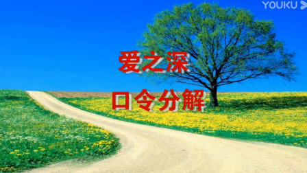 春英广场舞《爱之深》（正背面口令分解教学演