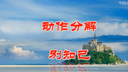 春英广场舞《健身操》（别知己）（动作分解口令教