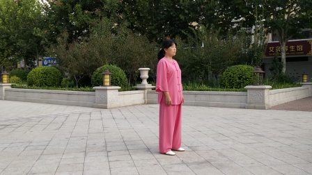 杨式传统太极拳精简37双人版视频教程慢动作