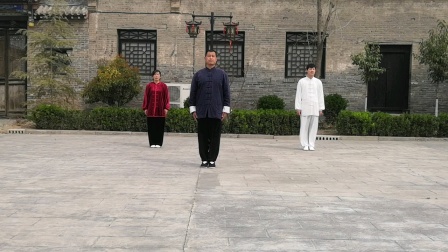 传统杨氏八十五式太极拳教程视频大全下载