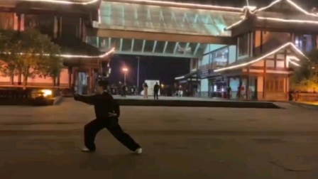 杨氏太极拳24式视频教程慢动作