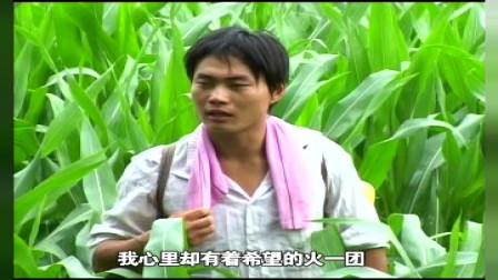 安徽民间小调《爱情大轮回》第三集 戏曲免