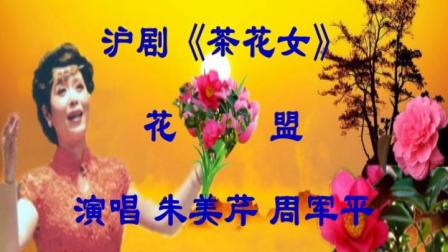 沪剧《茶花女》花盟 戏曲下载免费mp4高清