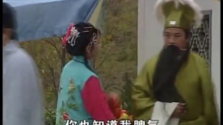 庐剧《一鸟九条命》（01）魏小波 王小兰 汪莉 