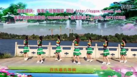 春英广场舞《爱你一生》教学视频基础步慢动