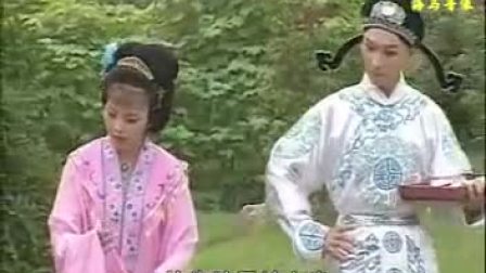 庐剧《张万郎休丁香》超长版全集 刘长芬 徐