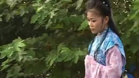 庐剧《农家姑娘生皇帝之乾隆大帝》01昂小红 王小五 戏曲下载免费mp4高清下载
