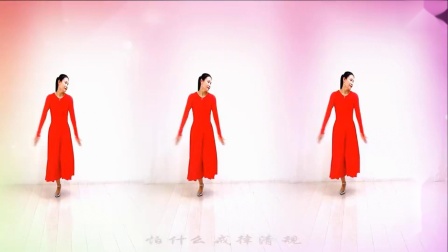 金灿灿广场舞《女儿情》广场舞教程初级舞步