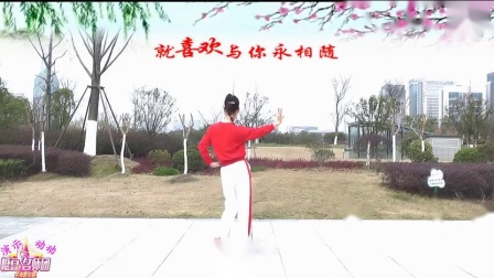 动动广场舞 《最美夫妻相 》背面视频教程慢动作下载