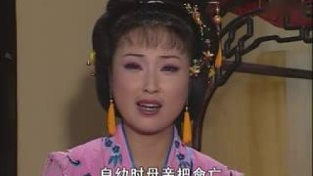 庐剧《抢孙子》（休妻失子）02 李立存 陈伶俐 