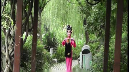 锡剧《摘石榴》选段 戏曲下载免费mp4高清