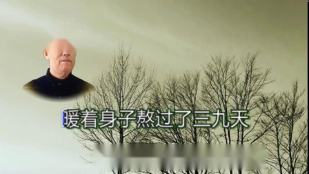 评剧《劝靓仔》戏曲免费本地下载mp3