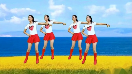 广场舞《酒醉的蝴蝶》教学视频基础步慢动作